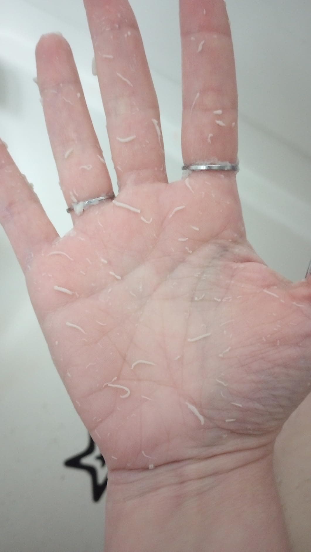 Michelle T. testimonial