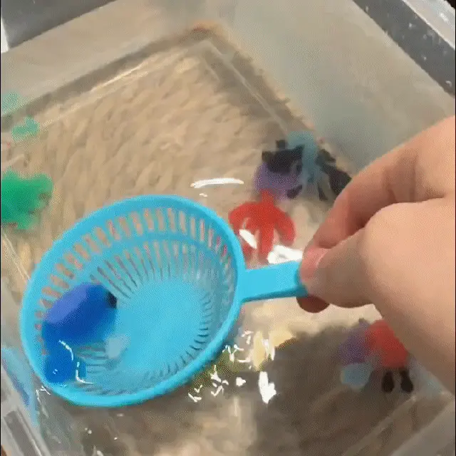 Complete water pets kit contents