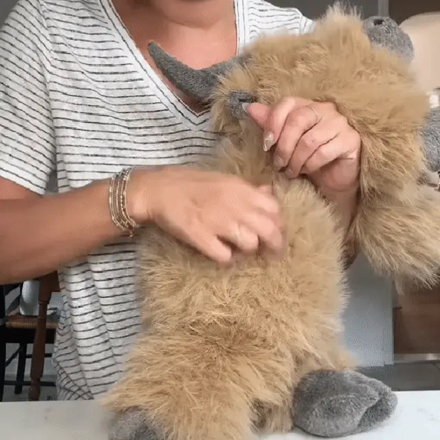 Microwaveable heat pack inside highland cow