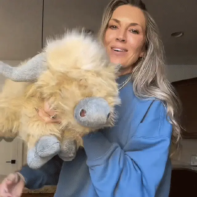 Premium highland cow plushie quality details