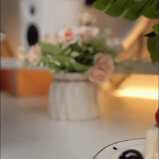 Built-in mirror and stand feature